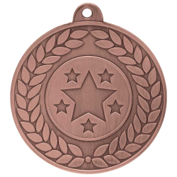 Aviator Bronze Medal Aviator Bronze Medal