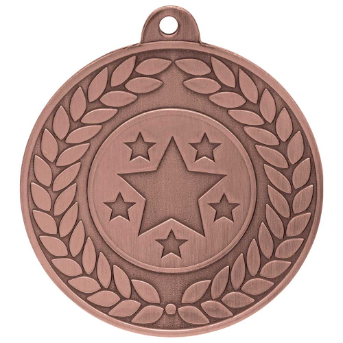 Aviator Bronze Medal