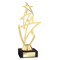 Rising Star Gold Trophy