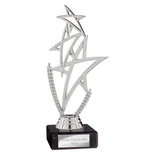 Rising Star Silver Trophy Rising Star Silver Trophy