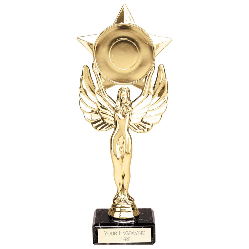 Victory Star Gold Trophy 210mm