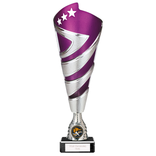 Hurricane Altitude Purple & Silver Trophy 295mm