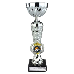 Energy Gold & Silver 235mm
