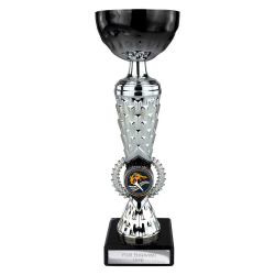 Energy Black & Silver 235mm