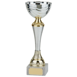 Everest Gold & Silver 200mm