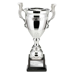 Endeavour Silver Super Cup 475mm