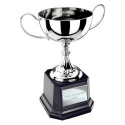 Tavistock Nickel Plated Cup 160mm