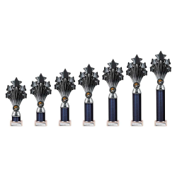 5 Star Black & Silver Tube Trophy 5 Star Black & Silver Tube Trophy