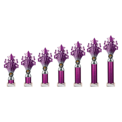 5 Star Purple & Silver Tube Trophy 5 Star Purple & Silver Tube Trophy