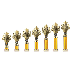 5 Star Gold & Silver Tube Trophy 5 Star Gold & Silver Tube Trophy