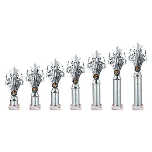 5 Star Silver Tube Trophy 5 Star Silver Tube Trophy