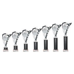 Frenzy Black & Silver Tube Trophy Frenzy Black & Silver Tube Trophy
