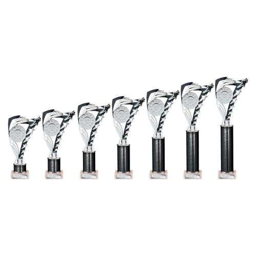 Frenzy Black & Silver Tube Trophy