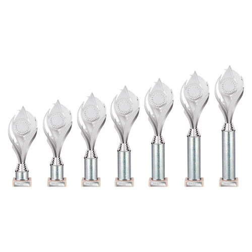 Volcano Silver Tube Trophy