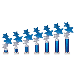 Trinity Star Blue & Silver Tube Trophy Trinity Star Blue & Silver Tube Trophy
