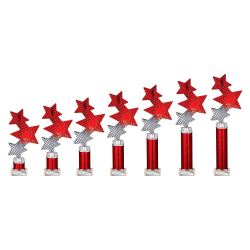 Trinity Star Red & Silver Tube Trophy Trinity Star Red & Silver Tube Trophy