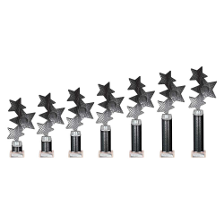 Trinity Star Black & Silver Tube Trophy Trinity Star Black & Silver Tube Trophy