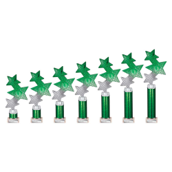 Trinity Star Green & Silver Tube Trophy Trinity Star Green & Silver Tube Trophy