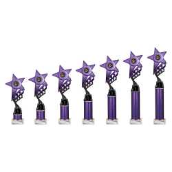 Innov8 Purple & Black Tube Trophy