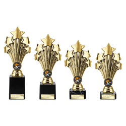 5 Star Gold & Silver 5 Star Gold & Silver