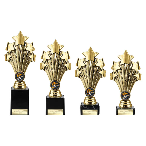 5 Star Gold & Silver