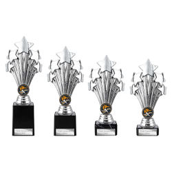 5 Star Silver