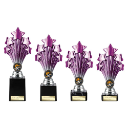5 Star Purple & Silver 5 Star Purple & Silver