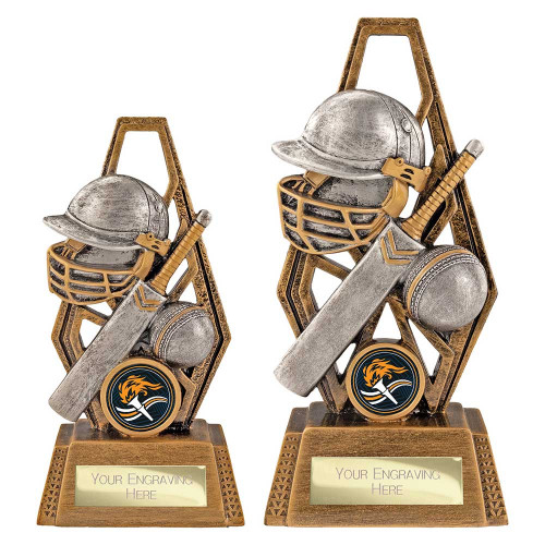 Immense Cricket Award