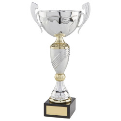 Century Cup