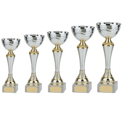 Everest Cup